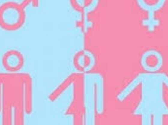 വർണപ്പകിട്ട്: ട്രാൻസ്ജെൻഡർ കലോത്സവം ഒക്ടോബറിൽ വർണപ്പകിട്ട്: ട്രാൻസ്ജെൻഡർ കലോത്സവം ഒക്ടോബറിൽ