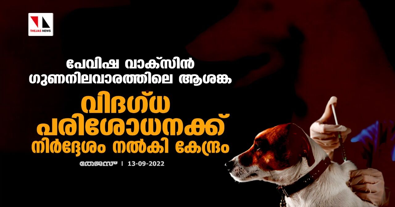 പേവിഷ വാക്സിന് ഗുണനിലവാരത്തിലെ ആശങ്ക;വിദഗ്ധ പരിശോധനക്ക് നിര്ദ്ദേശം നല്കി കേന്ദ്രം പേവിഷ വാക്സിന് ഗുണനിലവാരത്തിലെ ആശങ്ക;വിദഗ്ധ പരിശോധനക്ക് നിര്ദ്ദേശം നല്കി കേന്ദ്രം