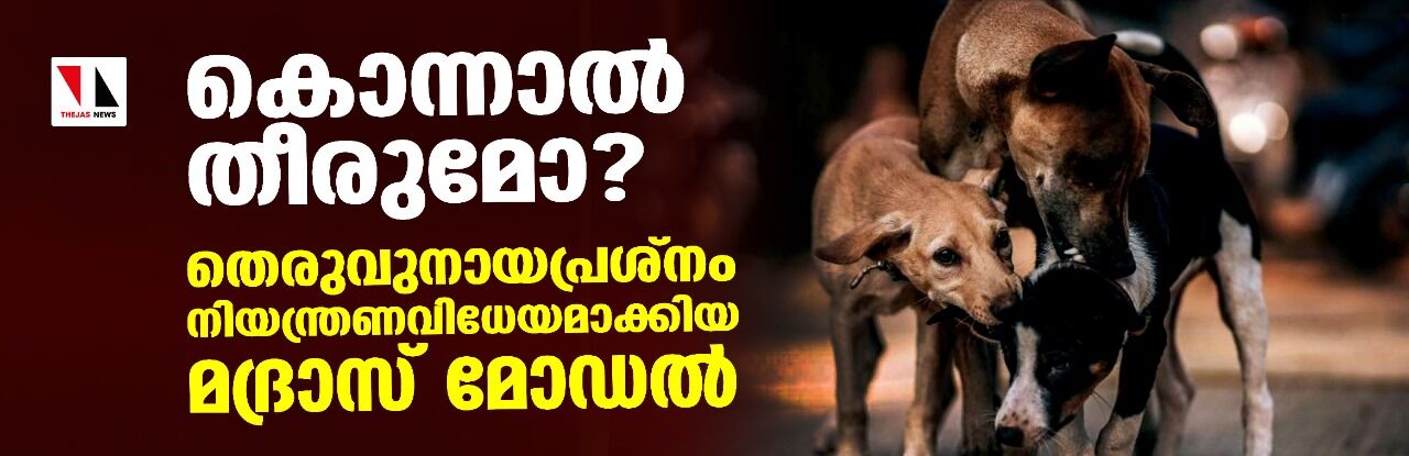 കൊന്നാല് തീരുമോ? തെരുവുനായപ്രശ്നം നിയന്ത്രണവിധേയമാക്കിയ മദ്രാസ് മോഡല് കൊന്നാല് തീരുമോ? തെരുവുനായപ്രശ്നം നിയന്ത്രണവിധേയമാക്കിയ മദ്രാസ് മോഡല്