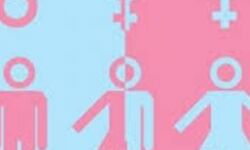 เดตเตผเดฃเดชเตเดชเดเดฟเดเตเดเต: เดเตเดฐเดพเตปเดธเตโเดเตเตปเดกเตผ เดเดฒเตเดคเตเดธเดตเด เดเดเตเดเตเดฌเดฑเดฟเตฝ เดตเตผเดฃเดชเตเดชเดเดฟเดเตเดเต: เดเตเดฐเดพเตปเดธเตโเดเตเตปเดกเตผ เดเดฒเตเดคเตเดธเดตเด เดเดเตเดเตเดฌเดฑเดฟเตฝ