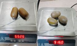 เดเดฐเดฟเดชเตเดชเตเดฐเดฟเดฒเตโ เดธเตเดตเดฐเตโเดฃเด เดชเดฟเดเดฟเดเตเดเดฟ; เดฐเดฃเตเดเต เดชเตเดฐเตโ เด
เดฑเดธเตเดฑเตเดฑเดฟเดฒเตโ เดเดฐเดฟเดชเตเดชเตเดฐเดฟเดฒเตโ เดธเตเดตเดฐเตโเดฃเด เดชเดฟเดเดฟเดเตเดเดฟ; เดฐเดฃเตเดเต เดชเตเดฐเตโ เด
เดฑเดธเตเดฑเตเดฑเดฟเดฒเตโ