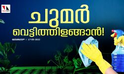 ചുമര്‍ വെട്ടിത്തിളങ്ങാന്‍!