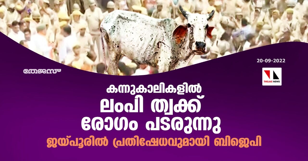 കന്നുകാലികളില്‍ ലംപി ത്വക്ക് രോഗം പടരുന്നു; ജയ്പൂരില്‍ പ്രതിഷേധവുമായി ബിജെപി