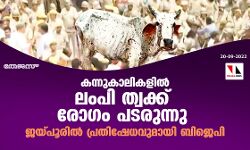 കന്നുകാലികളില്‍ ലംപി ത്വക്ക് രോഗം പടരുന്നു; ജയ്പൂരില്‍ പ്രതിഷേധവുമായി ബിജെപി