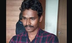 കൊട്ടടയ്ക്ക കച്ചവടത്തിന്റെ മറവിൽ 80 കോടിയോളം വെട്ടിച്ചു; 29കാരനെ കുരുക്കി ജിഎസ്ടി വകുപ്പ്