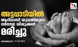 เด
เดเตเดเดชเตเดชเดพเดเดฟเดฏเดฟเตฝ เดเดฆเดฟเดตเดพเดธเดฟ เดฏเตเดตเดคเดฟเดฏเตเดเต เดเตผเดญเดธเตเดฅ เดถเดฟเดถเตเดเตเดเตพ เดฎเดฐเดฟเดเตเดเต เด
เดเตเดเดชเตเดชเดพเดเดฟเดฏเดฟเตฝ เดเดฆเดฟเดตเดพเดธเดฟ เดฏเตเดตเดคเดฟเดฏเตเดเต เดเตผเดญเดธเตเดฅ เดถเดฟเดถเตเดเตเดเตพ เดฎเดฐเดฟเดเตเดเต