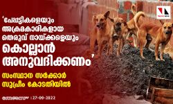 പേപ്പട്ടികളെയും അക്രമകാരികളായ തെരുവ് നായ്ക്കളെയും കൊല്ലാന്‍ അനുവദിക്കണം; സംസ്ഥാന സര്‍ക്കാര്‍ സുപ്രിം കോടതിയില്‍