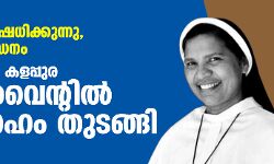 ഭക്ഷണം നിഷേധിക്കുന്നു, മാനസിക പീഡനം;  സിസ്റ്റര്‍ ലൂസി കളപ്പുര കോണ്‍വെന്റില്‍ സത്യഗ്രഹം തുടങ്ങി
