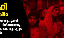 ഡല്‍ഹി സംഘര്‍ഷം: 541 എഫ്‌ഐആറുകള്‍, 8 കേസില്‍ വിധിപറഞ്ഞു, 51 ശതമാനം കേസുകളും പെന്റിങ്ങില്‍
