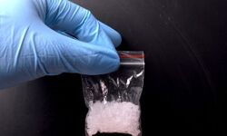 നാർക്കോട്ടിക് സ്‌പെഷ്യൽ ഡ്രൈവ് : 421 കേസുകൾ രജിസ്റ്റർ ചെയ്തു