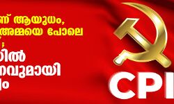 പാർട്ടിയാണ് ആയുധം, പാർട്ടിയെ അമ്മയെ പോലെ കരുതണം; ഭിന്നതയിൽ വിമർശനവുമായി നേതൃത്വം
