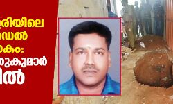 ചങ്ങനാശ്ശേരിയിലെ ദൃശ്യം മോഡല്‍ കൊലപാതകം: പ്രതി മുത്തുകുമാര്‍ പിടിയില്‍
