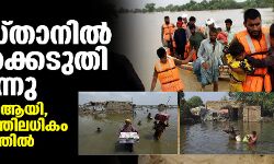 പാകിസ്താനില്‍ പ്രളയക്കെടുതി തുടരുന്നു; മരണം 1,693 ആയി, 33 ദശലക്ഷത്തിലധികം പേര്‍ ദുരിതത്തില്‍