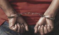 കോടിയേരിയെ അപമാനിച്ച് പോസ്റ്റ്; സര്‍ക്കാര്‍ ജീവനക്കാരന്‍ അറസ്റ്റില്‍