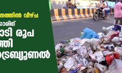 മാലിന്യസംസ്കരണത്തില് വീഴ്ച; തെലങ്കാന സര്ക്കാരിന് 3,800 കോടി രൂപ പിഴ ചുമത്തി ഹരിത ട്രൈബ്യൂണല് മാലിന്യസംസ്കരണത്തില് വീഴ്ച; തെലങ്കാന സര്ക്കാരിന് 3,800 കോടി രൂപ പിഴ ചുമത്തി ഹരിത ട്രൈബ്യൂണല്