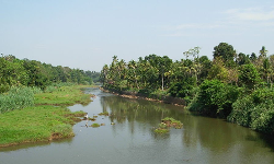 തിരുവനന്തപുരം കല്ലാറില്‍ ഒഴുക്കില്‍പ്പെട്ട് മൂന്നുപേര്‍ മരിച്ചു