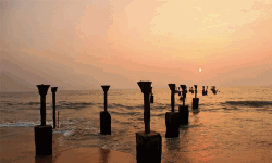 ബീച്ചിലെ മാലിന്യങ്ങള്‍ ഉടന്‍ നീക്കണം: മനുഷ്യാവകാശ കമ്മീഷന്‍