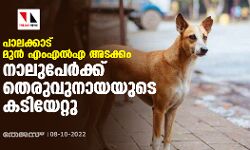 പാലക്കാട് മുന്‍ എംഎല്‍എ അടക്കം നാലുപേര്‍ക്ക് തെരുവുനായയുടെ കടിയേറ്റു