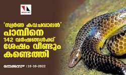 സ്വർണ കവചവാലൻ പാമ്പിനെ 142 വർഷങ്ങൾക്ക് ശേഷം വീണ്ടും കണ്ടെത്തി സ്വർണ കവചവാലൻ പാമ്പിനെ 142 വർഷങ്ങൾക്ക് ശേഷം വീണ്ടും കണ്ടെത്തി