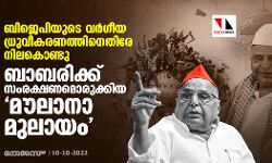 ബിജെപിയുടെ വര്‍ഗീയ ധ്രുവീകരണത്തിനെതിരേ നിലകൊണ്ടു; ബാബരിക്ക് സംരക്ഷണമൊരുക്കിയ മൗലാനാ മുലായം