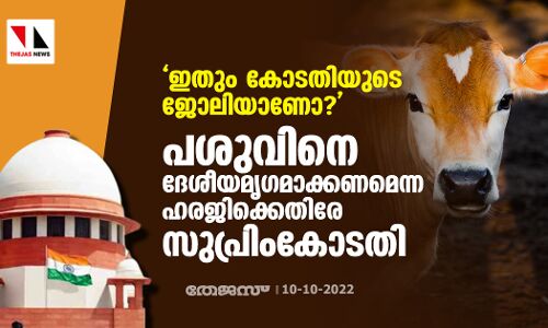 ഇതും കോടതിയുടെ ജോലിയാണോ?: പശുവിനെ ദേശീയമൃഗമാക്കണമെന്ന ഹരജിക്കെതിരേ സുപ്രിംകോടതി
