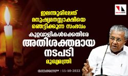 ഇലന്തൂരിലേത് മനുഷ്യമനസ്സാക്ഷിയെ ഞെട്ടിക്കുന്ന സംഭവം; കുറ്റവാളികള്‍ക്കെതിരേ അതിശക്തമായ നടപടി: മുഖ്യമന്ത്രി