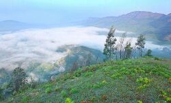 ബഫര് സോണ്: കേരളത്തിന്റെ പുനപരിശോധന ഹരജി വെള്ളിയാഴ്ച പരിഗണിക്കും ബഫര് സോണ്: കേരളത്തിന്റെ പുനപരിശോധന ഹരജി വെള്ളിയാഴ്ച പരിഗണിക്കും