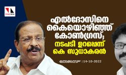 എല്‍ദോസിനെ കൈയൊഴിഞ്ഞ് കോണ്‍ഗ്രസ്; നടപടി ഉറപ്പെന്ന് കെ സുധാകരന്‍