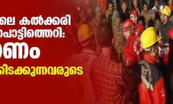 തുര്‍ക്കിയിലെ കല്‍ക്കരി ഖനിയില്‍ പൊട്ടിത്തെറി: 41 മരണം; കുടുങ്ങിക്കിടക്കുന്നവരുടെ എണ്ണം 110