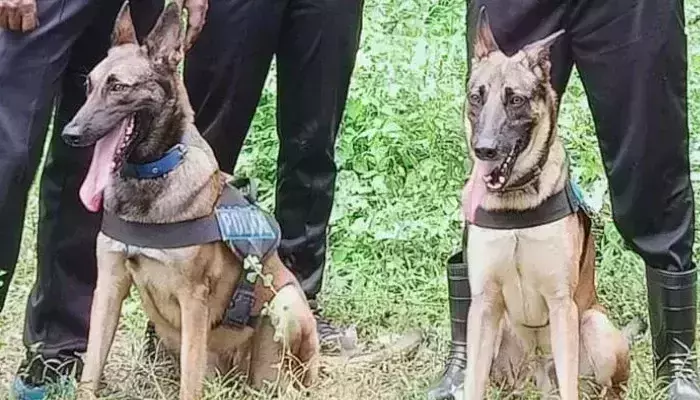 കേരളാ പോലിസിന്റെ അഭിമാനമായി മായയും മര്‍ഫിയും