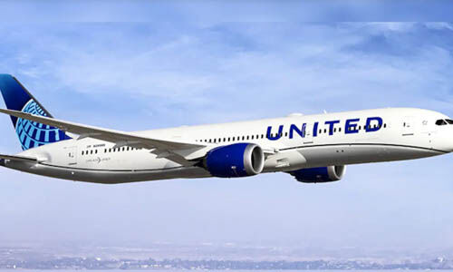 അമേരിക്കന്‍ വിമാനത്തില്‍ പാമ്പ്; പരിഭ്രാന്തരായി യാത്രക്കാര്‍