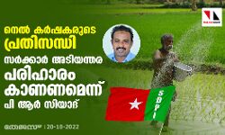നെല്‍ കര്‍ഷകരുടെ പ്രതിസന്ധി: സര്‍ക്കാര്‍ അടിയന്തര പരിഹാരം കാണണമെന്ന് പി ആര്‍ സിയാദ്