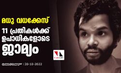 മധു വധക്കേസ്: 11 പ്രതികൾക്ക് ഉപാധികളോടെ ജാമ്യം