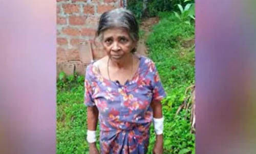 ലഹരിവസ്തുക്കള് വാങ്ങാന് പണം നല്കിയില്ല; മകന് അമ്മയെ വെട്ടിപ്പരിക്കേല്പ്പിച്ചു ലഹരിവസ്തുക്കള് വാങ്ങാന് പണം നല്കിയില്ല; മകന് അമ്മയെ വെട്ടിപ്പരിക്കേല്പ്പിച്ചു