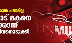ചികില്‍സിക്കാന്‍ പണമില്ല; പാലക്കാട് മകനെ വെട്ടിക്കൊന്ന് പിതാവ് ജീവനൊടുക്കി