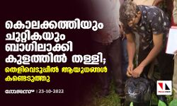 കൊലക്കത്തിയും ചുറ്റികയും ബാഗിലാക്കി കുളത്തിൽ തള്ളി; തെളിവെടുപ്പിൽ ആയുധങ്ങൾ കണ്ടെടുത്തു