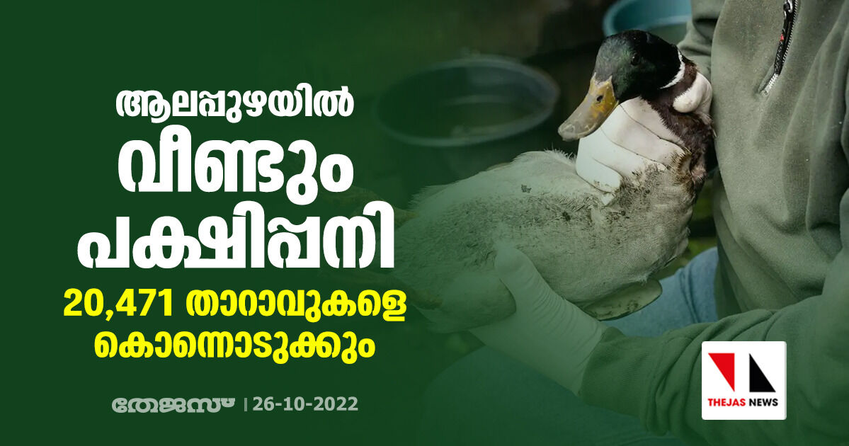ആലപ്പുഴയില് വീണ്ടും പക്ഷിപ്പനി; 20,471 താറാവുകളെ കൊന്നൊടുക്കും ആലപ്പുഴയില് വീണ്ടും പക്ഷിപ്പനി; 20,471 താറാവുകളെ കൊന്നൊടുക്കും