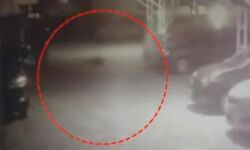 പാലക്കാട് ഫ്‌ളാറ്റില്‍ നിന്ന് ചാടി വീട്ടമ്മ ജീവനൊടുക്കി