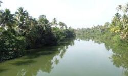 ജനുവരി ഒന്നിന് വാമനപുരം നദീതീരത്ത് ജനകീയ കണ്‍വെന്‍ഷന്‍, ഒരുലക്ഷം പേര്‍ പങ്കെടുക്കും