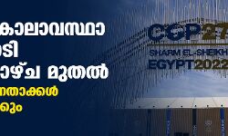 ലോക കാലാവസ്ഥാ ഉച്ചകോടി ഞായറാഴ്ച മുതല്‍; 90 രാഷ്ട്രനേതാക്കള്‍ സംബന്ധിക്കും