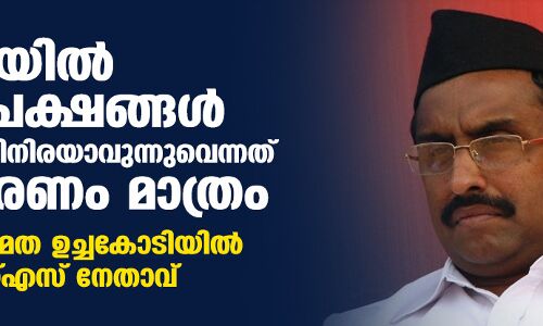 ഇന്ത്യയില്‍ ന്യൂനപക്ഷങ്ങള്‍ പീഡനത്തിനിരയാവുന്നുവെന്നത് പ്രചാരണം മാത്രം; ആഗോള മത ഉച്ചകോടിയില്‍ ആര്‍എസ്എസ് നേതാവ്