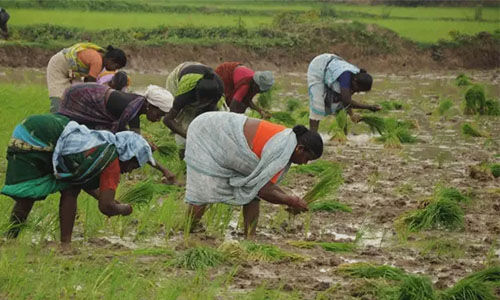 കര്‍ഷക വരുമാനം വര്‍ധിപ്പിക്കാന്‍ കൃഷിയിടാധിഷ്ഠിത ആസൂത്രണ പദ്ധതി