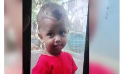 തെങ്ങു വീണ് രണ്ട് വയസ്സുകാരന് ദാരുണാന്ത്യം