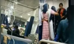 เดฎเดเดเดณเด เดเดจเตโเดเดฟเดจเตเดฏเดฑเดฟเดเต เดเตเดณเดเดฟเดฒเตโ เดญเดเตเดทเตเดฏเดตเดฟเดทเดฌเดพเดง; 50 เดเดณเด เดตเดฟเดฆเตเดฏเดพเดฐเตโเดฅเดฟเดเดณเตโ เดเดถเตเดชเดคเตเดฐเดฟเดฏเดฟเดฒเตโ เดฎเดเดเดณเด เดเดจเตโเดเดฟเดจเตเดฏเดฑเดฟเดเต เดเตเดณเดเดฟเดฒเตโ เดญเดเตเดทเตเดฏเดตเดฟเดทเดฌเดพเดง; 50 เดเดณเด เดตเดฟเดฆเตเดฏเดพเดฐเตโเดฅเดฟเดเดณเตโ เดเดถเตเดชเดคเตเดฐเดฟเดฏเดฟเดฒเตโ