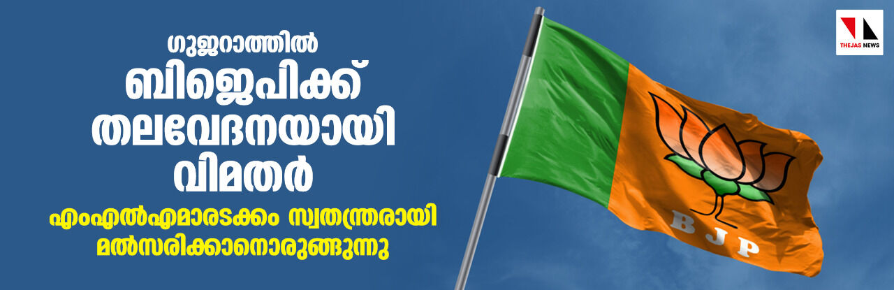 ഗുജറാത്തില്‍ ബിജെപിക്ക് തലവേദനയായി വിമതര്‍; എംഎല്‍എമാരടക്കം സ്വതന്ത്രരായി മല്‍സരിക്കാനൊരുങ്ങുന്നു