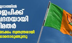 ഗുജറാത്തില്‍ ബിജെപിക്ക് തലവേദനയായി വിമതര്‍; എംഎല്‍എമാരടക്കം സ്വതന്ത്രരായി മല്‍സരിക്കാനൊരുങ്ങുന്നു
