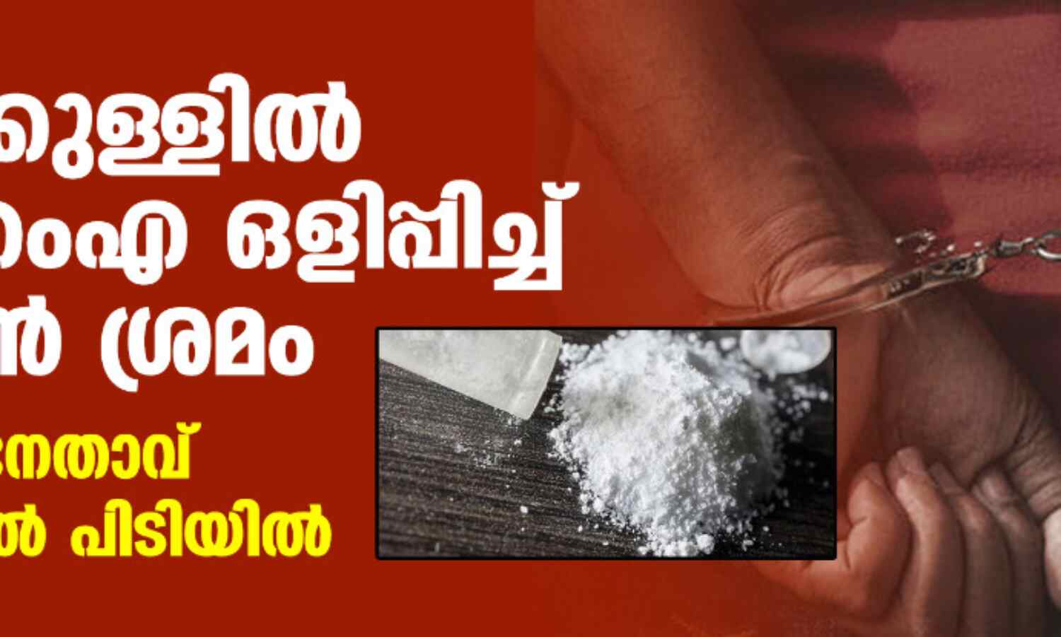 പാവയ്ക്കുള്ളില് എംഡിഎംഎ ഒളിപ്പിച്ച് കടത്താന് ശ്രമം; യുവമോര്ച്ച നേതാവ് ബംഗളൂരുവില് പിടിയില് പാവയ്ക്കുള്ളില് എംഡിഎംഎ ഒളിപ്പിച്ച് കടത്താന് ശ്രമം; യുവമോര്ച്ച നേതാവ് ബംഗളൂരുവില് പിടിയില്