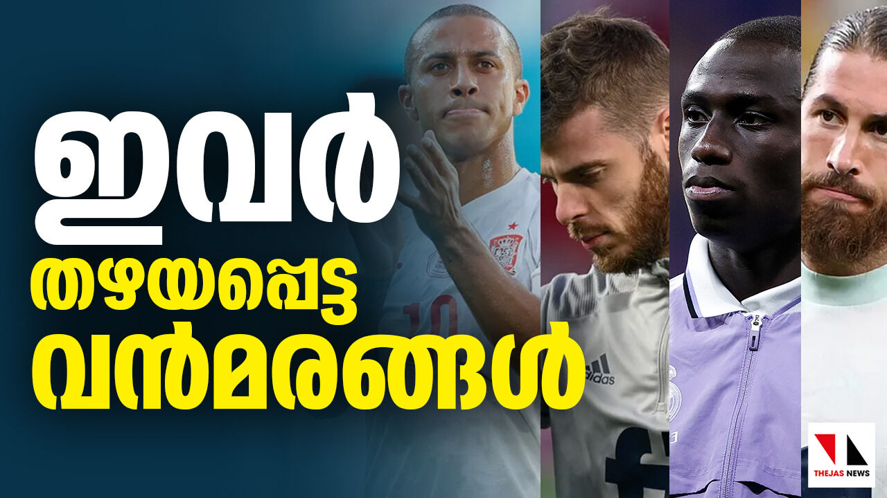 ലോകകപ്പ് സ്ക്വാഡില് നിന്നും തഴയപ്പെട്ട വന്മരങ്ങള് ലോകകപ്പ് സ്ക്വാഡില് നിന്നും തഴയപ്പെട്ട വന്മരങ്ങള്