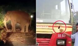 വീണ്ടും കബാലിയിറങ്ങി; കെഎസ്ആര്‍ടിസി ബസ് കൊമ്പില്‍ കുത്തി ഉയര്‍ത്തി