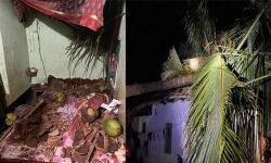 കാട്ടാന വീടിന് മുകളിലേക്ക് തെങ്ങ് മറിച്ചിട്ടു; വീട്ടമ്മയ്ക്ക് പരിക്ക്